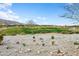 Scenic golf course view with lush green fairways, desert landscaping, and mountain backdrop under a bright blue sky at 20528 W Coolidge St, Buckeye, AZ 85396