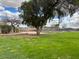 Lush backyard featuring a large shade tree and a fenced pool area in the distance at 2151 S Calle Del Marcos --, Casa Grande, AZ 85194