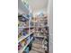 Spacious walk-in pantry with white shelving offering ample storage, and modern design at 22752 E Arroyo Verde Dr, Queen Creek, AZ 85142