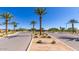 Wide community street lined with palm trees and desert landscaping at 39801 N Trajen Pl, San Tan Valley, AZ 85140