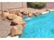 Close up of backyard pebble tec pool features a rock waterfall and gravel landscaping at 604 W Villa Rita Dr, Phoenix, AZ 85023