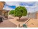 A backyard with desert landscaping, fruit trees, a covered patio, and block fencing at 8336 E Neville Ave, Mesa, AZ 85209