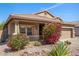 Beautiful home exterior featuring lush, flowering bushes, desert plants, and manicured landscaping at 10932 E Bella Via --, Mesa, AZ 85212