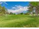 Expansive grassy park area with mature trees and blue skies, perfect for recreation at 1210 E Azure Sea Ln, Gilbert, AZ 85234