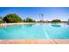 Spacious lagoon style pool with ample seating and palm trees, perfect for relaxation and recreation at 1210 E Azure Sea Ln, Gilbert, AZ 85234