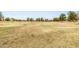 Expansive open field dotted with mature trees offers recreational opportunities at 15027 N 61St Pl, Scottsdale, AZ 85254