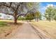 Scenic paved pathway through a green park with trees, perfect for leisurely strolls at 15027 N 61St Pl, Scottsdale, AZ 85254