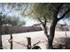 Expansive lot with desert landscaping, offering privacy and a serene outdoor space at 3721 N Brindley Ave, Litchfield Park, AZ 85340