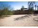 This backyard features a large open space with desert landscaping at 3721 N Brindley Ave, Litchfield Park, AZ 85340