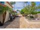 Landscaped backyard featuring palm trees, a barbecue grill, and a tiled patio area at 11731 N 91St Pl, Scottsdale, AZ 85260