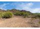Natural desert landscape with rocky hills and native vegetation under a clear sky at 1340 E Golden Ln, Phoenix, AZ 85020