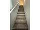 Carpeted stairs leading to the next level at 15655 N 29Th St, Phoenix, AZ 85032