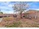 Spacious backyard with mature tree, patio furniture and block wall at 16268 W Cortez St, Surprise, AZ 85379