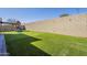 Backyard with artificial turf and a playset, offering a fun outdoor space at 16462 W Rowel Rd, Surprise, AZ 85387