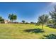 Expansive green space, ideal for walking or relaxing outdoors in the neighborhood at 16462 W Rowel Rd, Surprise, AZ 85387