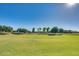An expansive green space offering ample room for outdoor activities and neighborhood enjoyment at 16462 W Rowel Rd, Surprise, AZ 85387