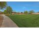 Expansive community green space features a manicured lawn, walking path, and park amenities at 17756 E Colt Dr, Queen Creek, AZ 85142