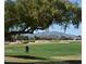 Personal playing golf with scenic mountain backdrop on a lush green golf course, with large tree branch overhead at 18668 N Lariat Ct, Surprise, AZ 85387