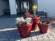 Inviting front porch with colorful potted plants, enhancing the home's curb appeal and creating a welcoming entrance at 1960 Leisure World --, Mesa, AZ 85206