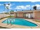 Backyard swimming pool with palm trees and a patio area at 3222 W Hearn Rd, Phoenix, AZ 85053