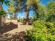 Backyard showing mature trees and minimal desert landscaping at 3918 E Carson Rd, Phoenix, AZ 85042