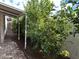 Paver walkway with a shaded canopy with vibrant greenery along a side of the building at 4130 N 4Th Ave, Phoenix, AZ 85013