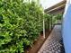 Charming walkway lined with lush greenery providing a serene path along the side of the home at 4130 N 4Th Ave, Phoenix, AZ 85013