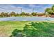 Well-maintained community basketball court with lush green surroundings and manicured landscaping at 6704 W Topeka Dr, Glendale, AZ 85308