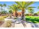 Lush backyard featuring a stone path, mature palm trees, outdoor kitchen area and meticulously kept lawn at 8935 E Larkspur Dr, Scottsdale, AZ 85260