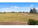 Community open field for recreational activities and leisurely enjoyment at 144 W Bahamas Dr, Casa Grande, AZ 85122