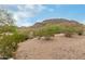 Desert landscape featuring native plants, rocky terrain, and scenic mountain views under a blue sky at 1545 E Sahuaro Dr # 12, Phoenix, AZ 85020