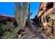 Backyard showing desert landscaping with native plants and exterior house details at 16857 E Deuce Ct, Fountain Hills, AZ 85268