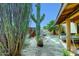 Lush backyard showcases desert landscaping, a quaint patio with comfortable seating, and mature trees providing ample shade at 16857 E Deuce Ct, Fountain Hills, AZ 85268