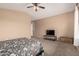 Large bedroom featuring a ceiling fan, a window and plush carpet at 22337 E Via Del Palo --, Queen Creek, AZ 85142