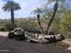 Relaxing backyard featuring rock waterfall, palm trees, lush plants, and mountain views at 3120 E Squaw Peak Cir, Phoenix, AZ 85016