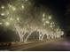 Inviting street lined with trees adorned with warm string lights creating a magical ambiance at 3120 E Squaw Peak Cir, Phoenix, AZ 85016