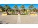 Community entrance featuring desert landscaping, water fountain, and multiple palm trees at 37036 N Stoneware Dr, Queen Creek, AZ 85140