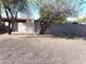 Backyard featuring a rock landscape and block fence with mature trees at 4257 E Marino Dr, Phoenix, AZ 85032