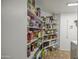 Spacious walk-in pantry features ample shelving and storage at 4369 E Coal St, San Tan Valley, AZ 85143