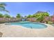 Sparkling in-ground swimming pool surrounded by lush backyard landscaping and enclosed by a brick fence at 4369 E Coal St, San Tan Valley, AZ 85143