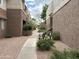 Exterior view of a community walkway with seating, lush landscaping, and pathway lighting at 4554 E Paradise Village N Pkwy # 249, Phoenix, AZ 85032