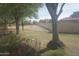 A spacious backyard with mature trees and a well-maintained fence line provides privacy and a relaxing outdoor space at 4773 E Hopi St, Phoenix, AZ 85044