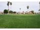 Picturesque golf course with palm trees, manicured lawns, and houses in the background at 4773 E Hopi E St, Phoenix, AZ 85044