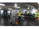 Well-equipped gym featuring weight machines, free weights, mirrors, and ample space for exercise at 4773 E Hopi St, Phoenix, AZ 85044