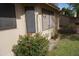 Side yard of house featuring green grass and colorful flowering bush at 4773 E Hopi St, Phoenix, AZ 85044