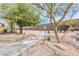 Paved path winding through the neighborhood, lined with mature trees and desert landscaping at 16406 W Peppertree Ct, Surprise, AZ 85387