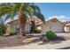 Charming single-story home with a well-maintained front yard and a towering palm tree providing shade at 2328 N 123Rd Ln, Avondale, AZ 85392