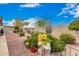 Backyard features a rockscape design with various plants and a brick wall at 3301 S Goldfield Rd # 2105, Apache Junction, AZ 85119