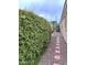 A narrow side yard featuring a privacy hedge, rock ground cover, and stepping stones leading to a metal gate at 4203 E Narrowleaf Dr, Gilbert, AZ 85298