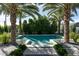 Resort style pool area framed by mature palm trees and lush landscaping at 6455 E Calle Del Media --, Scottsdale, AZ 85251